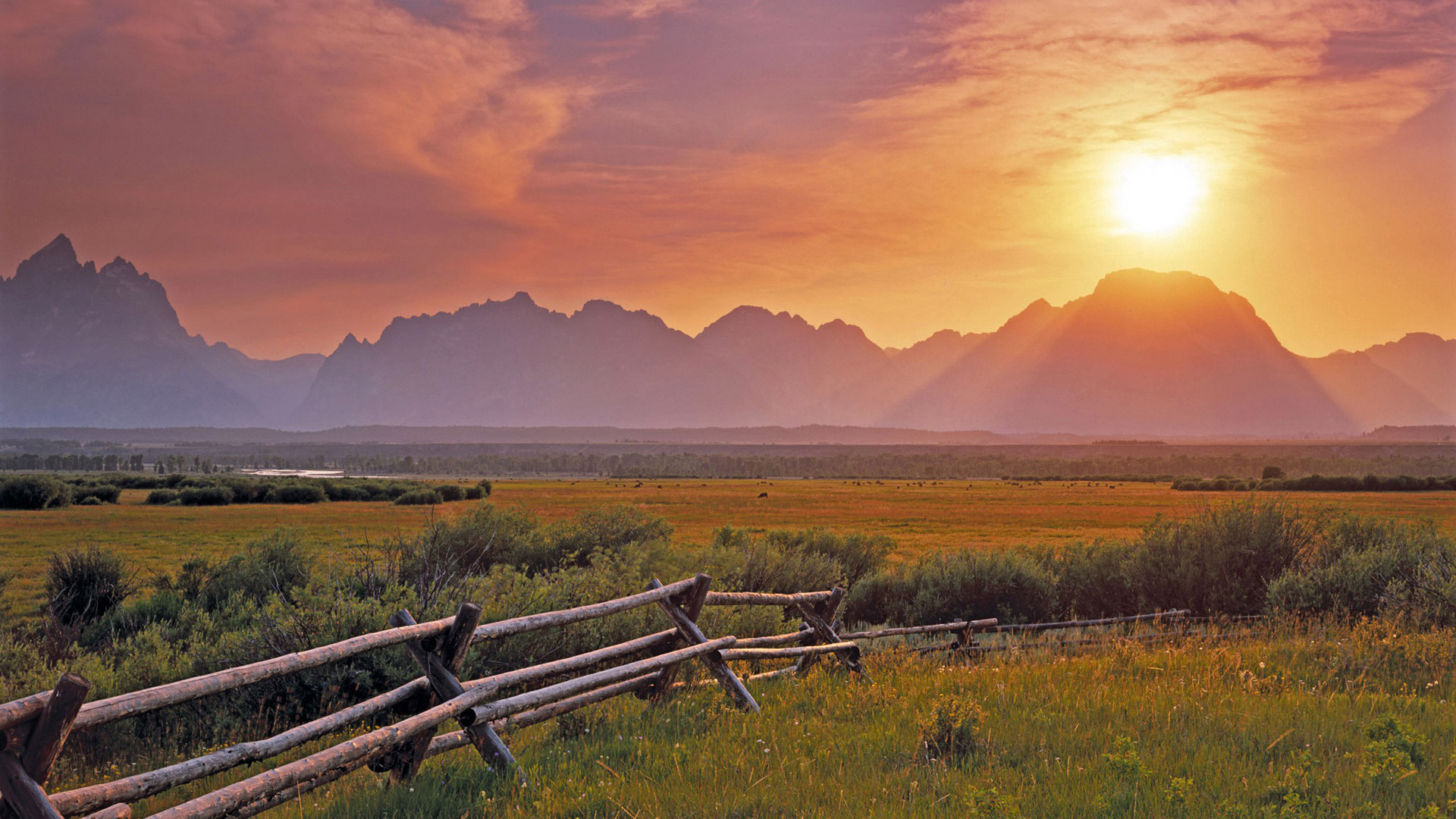 Wyoming Road Trips